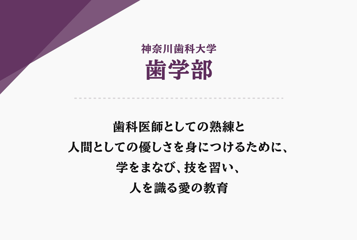 歯学部　歯科医師としての熟練と人間としての優しさを身につけるために、学をまなび、技を習い、人を識る愛の教育