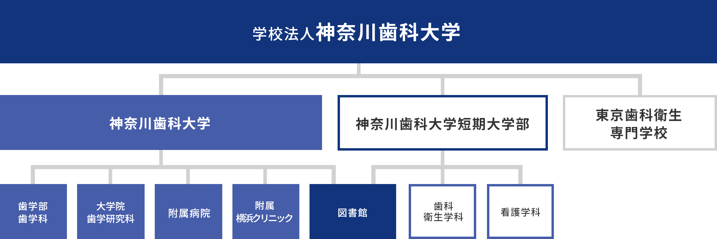 神奈川歯科大学組織図