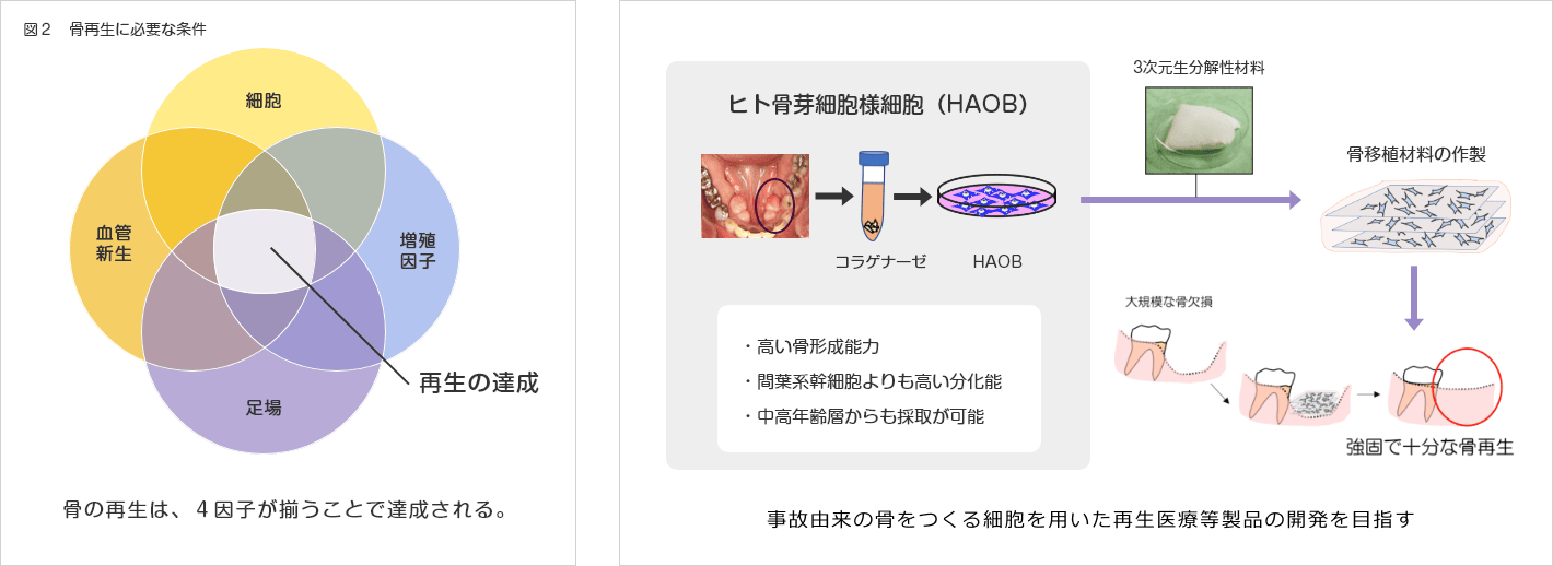 図2図3