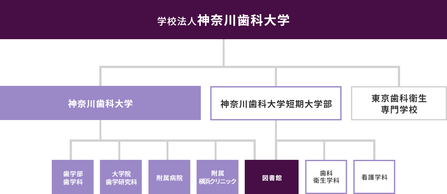 神奈川歯科大学組織図